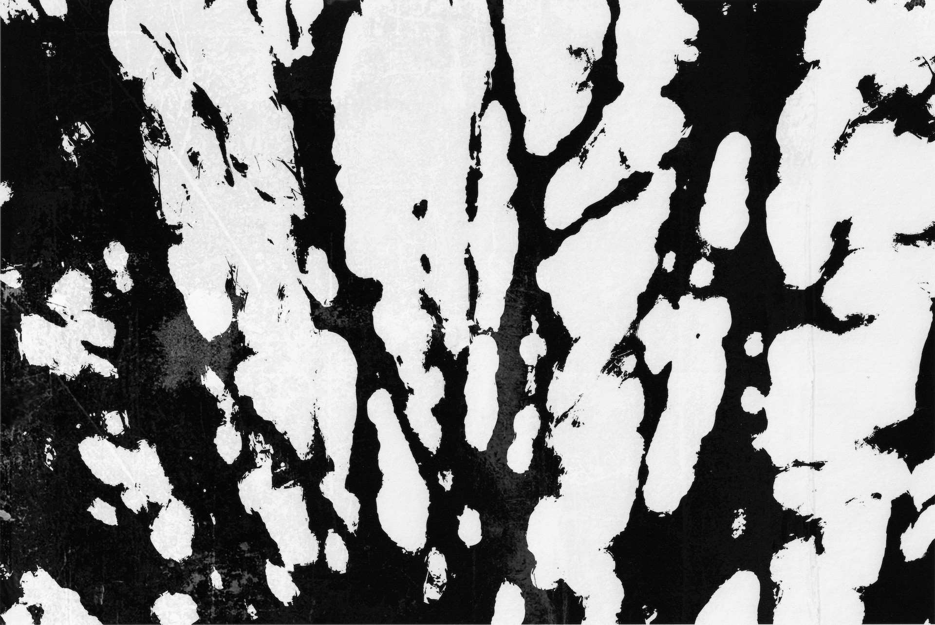 abstract black and white